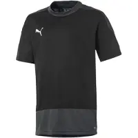 Puma Trænings T-Shirt teamGOAL 23 - Sort/Asfalt, størrelse Small