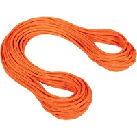 Mammut Crag Dry 9.8 Mm Reb