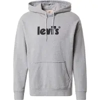 Levi's T2 Relaxed Graphic Hættetrøje