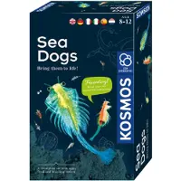 Kosmos TOY EDUCATIONAL SET SEA DOGS