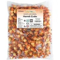 Safari Ltd Hermit Crabs Good Luck Minis Figur