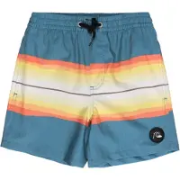 Quiksilver Resin Tint 14 Badeshorts