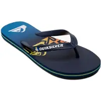 Quiksilver Molokai Art Flip-flops