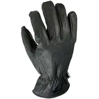 Garibaldi Campus Handsker