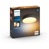 Philips Hue Enrave Lille Loftlampe - Sort
