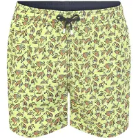Hackett Sea Turtles Badeshorts