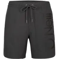 O'Neill Badeshorts antracit / hvid