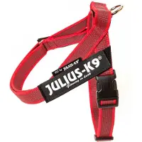 JULIUS K-9 Idc Norwegian Hundeseletøj