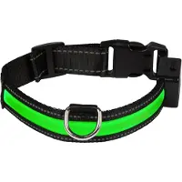 Eyenimal LED-Lyshalsbånd - grøn - Str. M: 44 - 56 cm halsomfang, B 25 mm