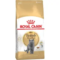 Royal Canin FBN British Shorthair Adult dry cat food - 10 kg