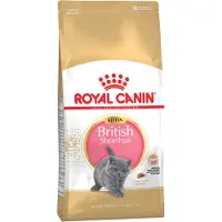 Royal Canin British Shorthair Kitten Kattefoder - 10 kg