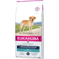 Eukanuba Adult Breed Specific Labrador Retriever - Økonomipakke: 2 x 12 kg