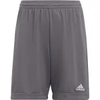 Adidas Sportsbukser 'Entrada 22' mørkegrå / hvid