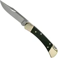 Buck Knives Hunter Lockback