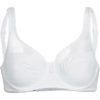 Dim 3983 Bh