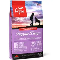 Orijen Puppy Large Breed Whole Prey Hundefoder - 6 kg