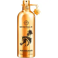 Montale Parfumer OudArabiansEau de Parfum Spray 100 ml (11.840,00 kr / 1 l)