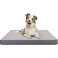Nobleza Compressible Sponge Kæledyrspude