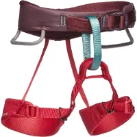 Black Diamond Kid’s Momentum-seler til børn - wild rose