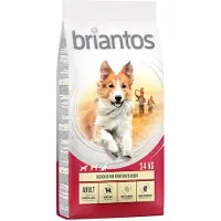 Briantos Adult, Kylling & Ris - Økonomipakke: 2 x 14 kg