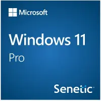 Microsoft Windows 11 Pro - Licens - 1 licens - OEM - DVD - 64-bit - Engelsk