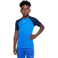 Nike Trænings T-Shirt Dri-FIT Academy Pro - Konge blå/Navy/Hvid Børn, størrelse L: 147-158 cm
