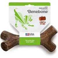 Benebone Ahornpind
