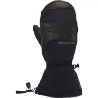 Dakine Excursion Gore-tex Vanter