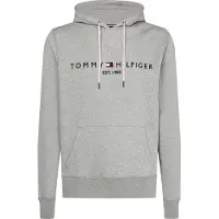 Tommy Hilfiger Tommy Hilfigertil mænd. MW0MW10752 Sweatshirt Core Logo grå (S), Casual, Polyester, Lange ærmer, Økologisk bomuld
