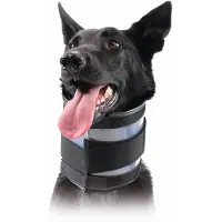 Kvp Bite Free Hundehalsbånd