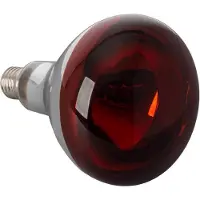 Glöd Infrarød Varmelampe E27 250W