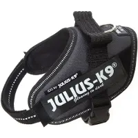Julius-K9 Idc Power Mini Hundeseletøj