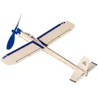 Goki Eagle Jet Glider