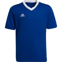 Adidas T-shirt til børn Entrada 22 Jsy blå HG3948 (116cm)