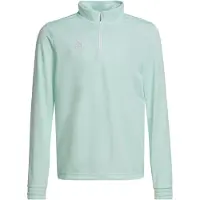 Adidas Entrada 22 Training Sweatshirt