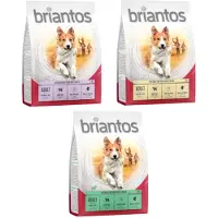 Briantos Adult Lam og ris - 4 x 1 kg