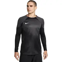 Nike Målmandstrøje Dri-FIT ADV Gardien IV L/S - Grå/Sort/Hvid, størrelse XX-Large