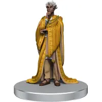 Wizkids Kritisk rolle: NPC'er fra Wildemount
