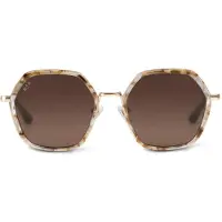 Kapten & Son Solbriller 'Amsterdam Edge Toffee Tortoise Brown' brun / guld / transparent