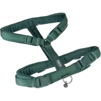 Nomad Tales Blush Sele, emerald - Str. S: 37 - 53 cm brystvidde, B 20 mm