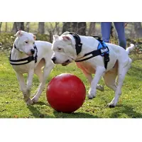 Jolly Push-n-Play - Blå - 15 cm