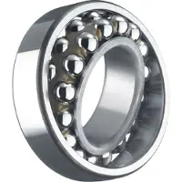 Skf Leje 1204 ETN9