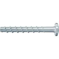 Fischer Group Ultracut Fbs Ii 6x40/5 P Torx-skrue 100 Stykker
