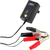 Ansmann ALCS 2-12/0.4 - Batterioplader - 1 x batterier lader op - 400 mA - 2 output-stikforbindelser (krokodillenæb) - sort