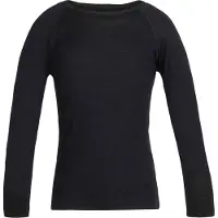 Icebreaker 200 Oasis Crew Merino T-shirt Med Lange ærmer