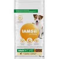 IAMS Adult Small & Medium med kylling hundefoder