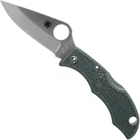 Spyderco Ladybug 3 Lockback Green