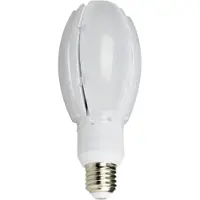 Nasc LED Oval Gårdslampe 30W E27 4000K