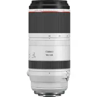 Canon RF 100-500MM F4.5-7.1 L IS USM