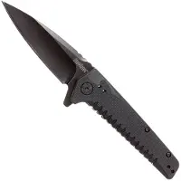 Kershaw Fatback Linerlock A/O